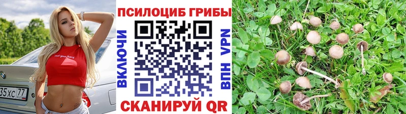 цена Семикаракорск Псилоцибиновые грибы ЛСД